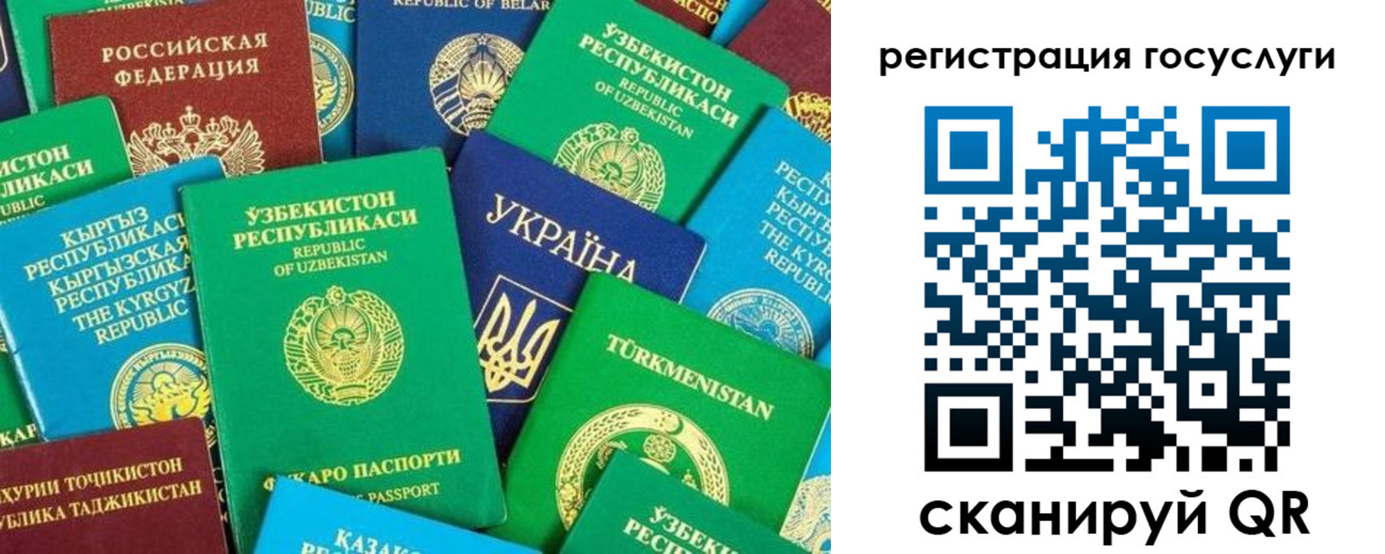временная регистрация купить в Тихорецке